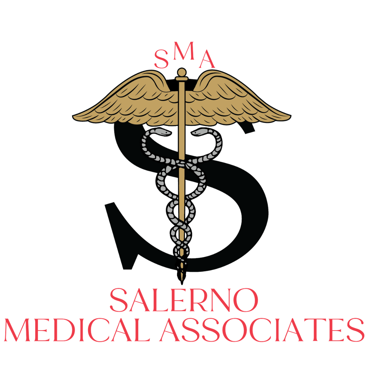 Salerno partner clinic logo
